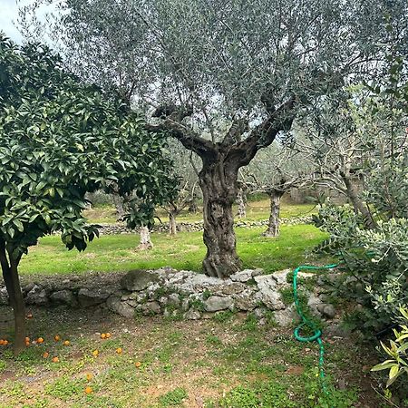 Chic Apartment In Nature, 5-Min Walk To The Beach Kalamata Eksteriør billede